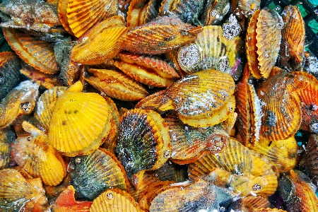 服务 才是实体零售的“杀手锏”