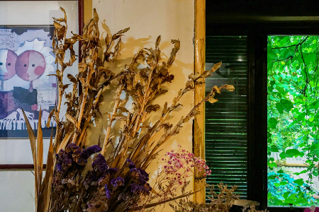 新消费观察：万亿二手电商市场 机会藏在兴趣圈层中？