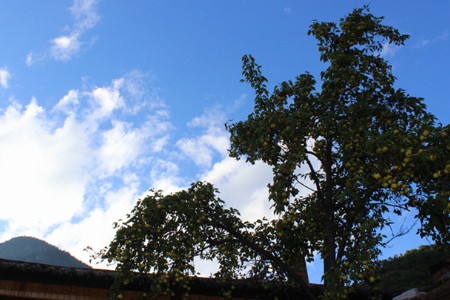 用户群庞大！我国8.88亿人刷短视频 6.38亿人看直播