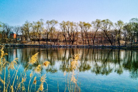 入袋百万和半年开150家店 剧本杀是下一代文娱风口？