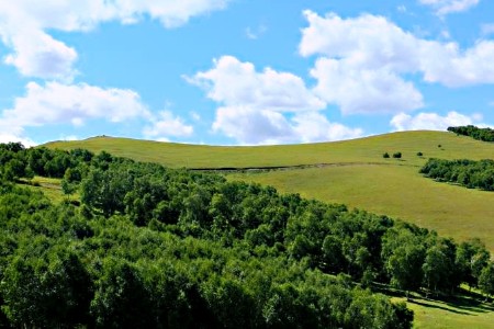 奶源争夺战白热化 纳入港股通的优然牧业还有哪些牌？