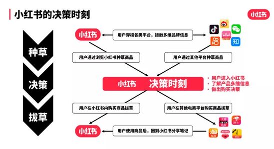 雙十一衝刺期小紅書品牌營銷攻略