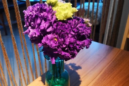 关于今年双11的30个真相