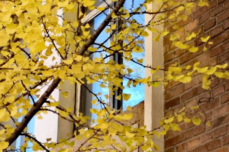 一千个创业者 一千个元宇宙