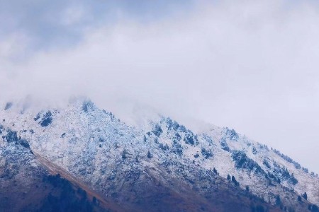 双11“躺平”商家咋想的？