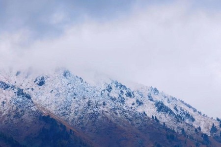 鲸仓科技完成B轮融资  致力打造机器人仓库