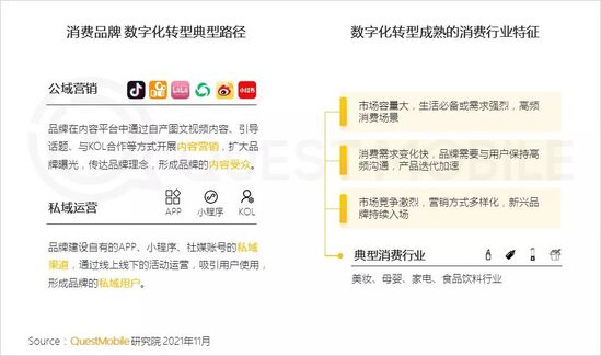 新消费品牌数字化报告：国民品牌如何诞生？