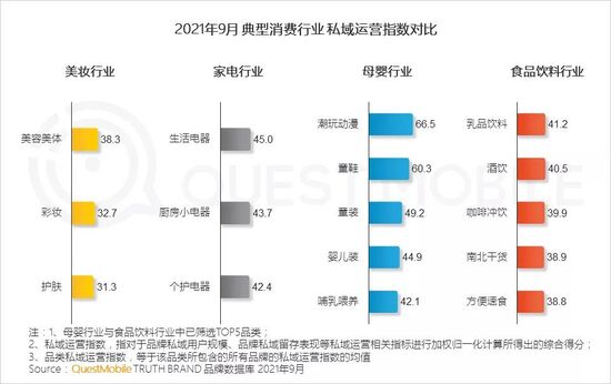 新消费品牌数字化报告：国民品牌如何诞生？