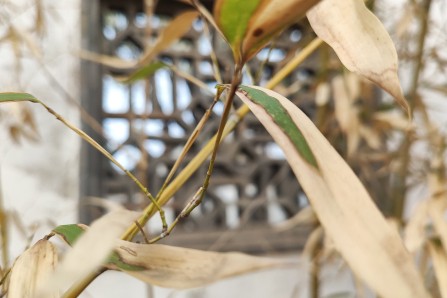 小童童装品牌排行榜_特步儿童获中国十大童装品牌“大国少年”战略彰显品牌担当(2)