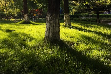 2021 我融到钱了