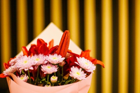 上半年撑起中概股在美上市数量新高 新经济公司为主流