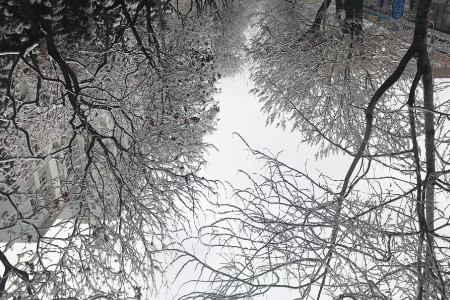 冬奥会前 中国商家又造了一个爆款