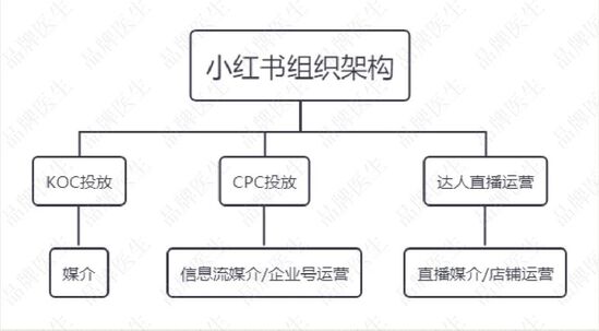 如何搭建小红书快手团队 让新品牌月销突破1000万？