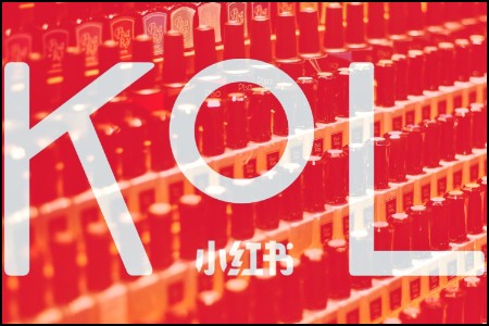 如何利用KOL营销获利