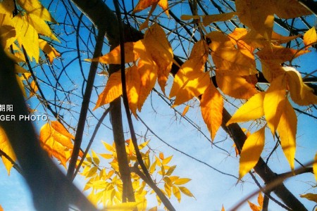 60亿的搜索流量池 内容创作者如何抓住“搜索”风口？