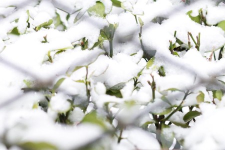 艺术品零售会成为T11的核心经营模块吗？