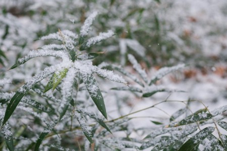 玻璃发电！创可贴测温！  2022北京冬奥就这么“靠谱”