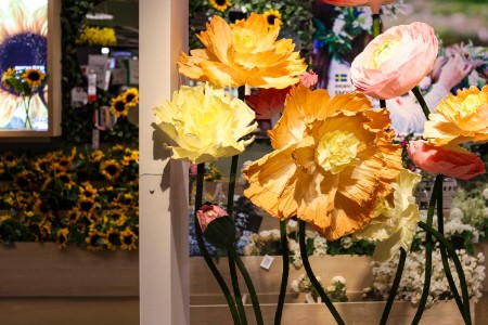 美妆日化品牌排队赴港上市 何时诞生国产版“欧莱雅”？