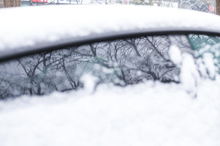 谷爱凌：瑞幸 蒙牛和元气森林都在追的冬奥顶流