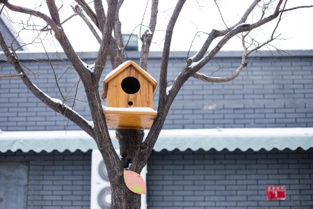 一位小镇旅行社老板的“自救指南”
