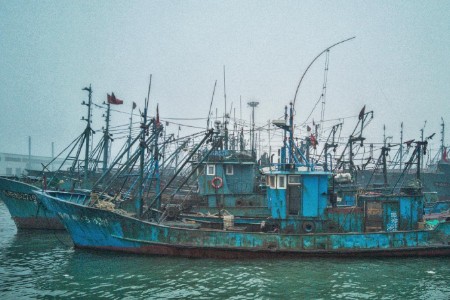 掘金东南亚 品牌出海正当时