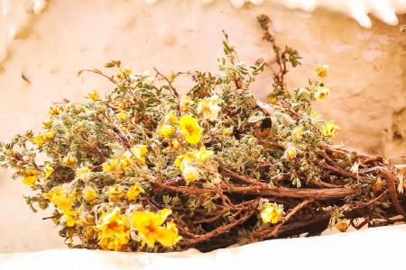 2022品牌线上营销关键词：增投入多元触点 效果喜忧参半