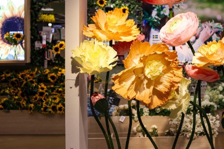 今年情人节还买花吗？价格涨一倍 99朵玫瑰突破千元