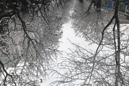 拼团穷滑一个月9000元 年轻人实现了“滑雪自由”？