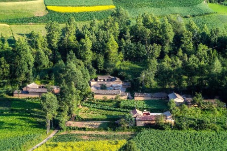 VC/PE打响农业投资战