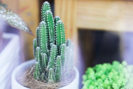 知识付费 也逃不过“焦虑”的本质