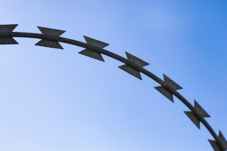 君智董事长谢伟山：将中国智慧引入战略创新