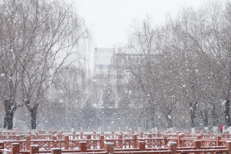 为谷爱凌和2022 冬奥添砖加瓦的中国滑雪产业公司