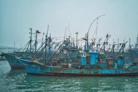 海运费用开始降了！跨境卖家先别高兴太早