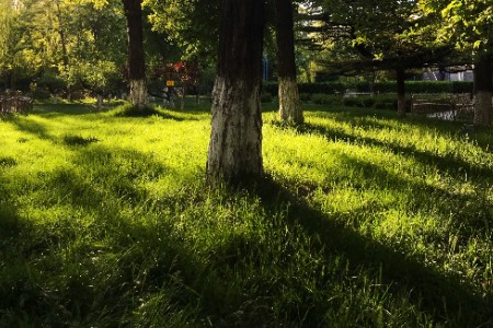 飞猪“做重”迎大考