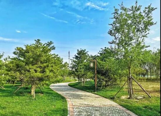 王四营官庄公园开园东方园林建设家文化城市公园