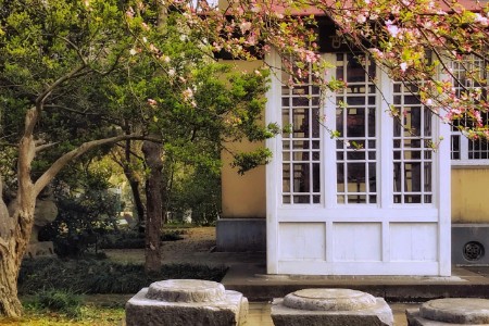 露营这门生意 晒朋友圈的人不懂