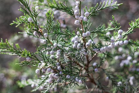 财报解读|降本增效背后 “现代牧业”们要做好持久战准备