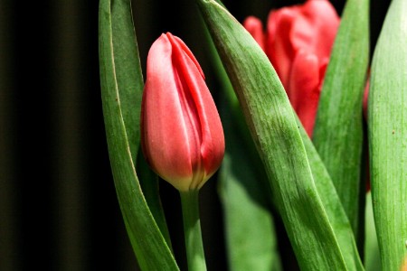 两个80后工科男卖防晒伞 要IPO了