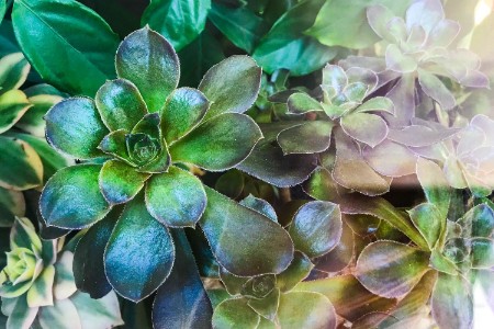 困在上海的创业者：有人准备卖房 有人收入翻5倍