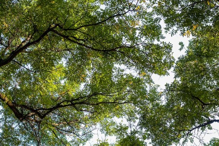 招聘月薪最高3.5万！凉透的社区团购又火了