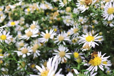 靠直播跳操2天抖音涨粉近100万 刘畊宏做对了什么？