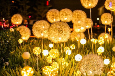 网络互助平台冲到上海“抗疫”一线