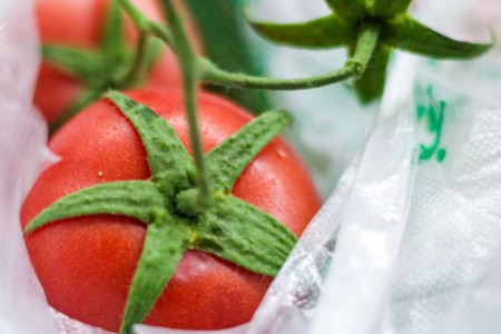 困在上海的投资人：当骑手跑腿送药 一天扛800箱蔬菜