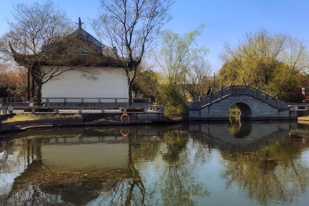 浙江“双品网购节”专场正式启动：百万消费券线上发放