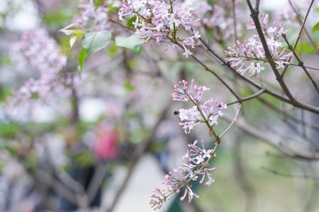 深圳双品网购节启动：互动式消费新场景 激发消费需求