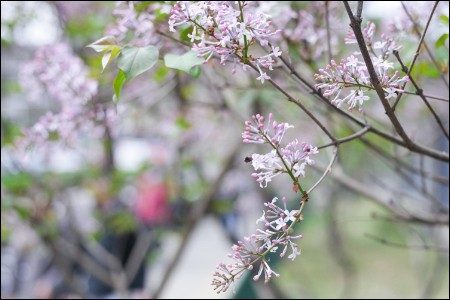 湖北双品网购节：18家湖北企业参与 开设数商兴农专场