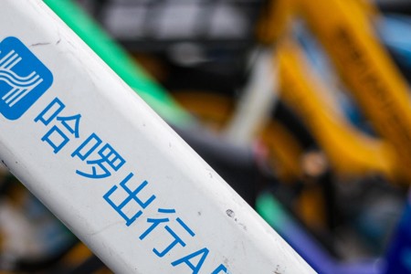 品牌再升级业务三级跳 哈啰剑指本地生活