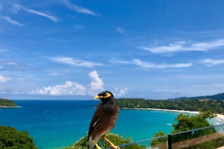 澳大利亚电商Kogan Q1销售额下降3.8%至2.62亿美元