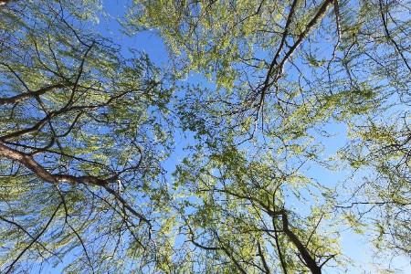 同程旅行：五一假期“露营”相关搜索热度环比涨117%