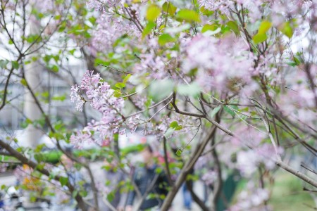 山东“第四届双品节”：两位数双增长 奋力夺取双胜利